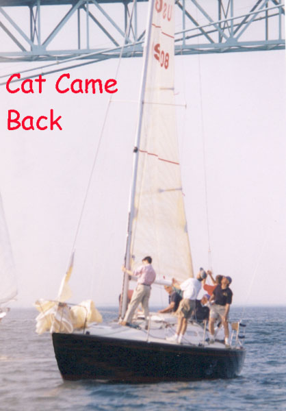 Cat Came Back Picture