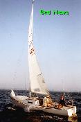 BadNewsS.jpg (3876 bytes)