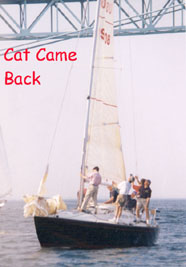 CatCameBackS.jpg (19987 bytes)